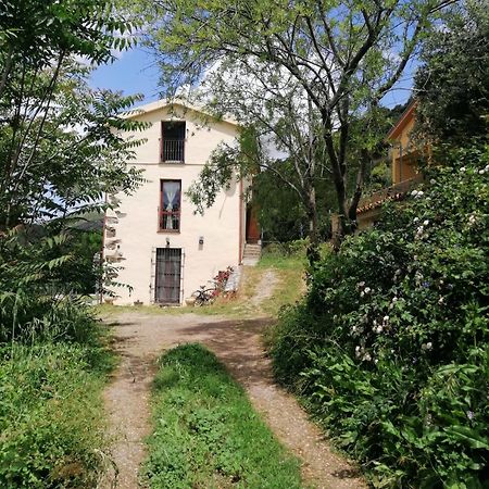 Ferula Romantica Mansarda Tra Fiumi E Montagne Sardegna Seùlo Extérieur photo