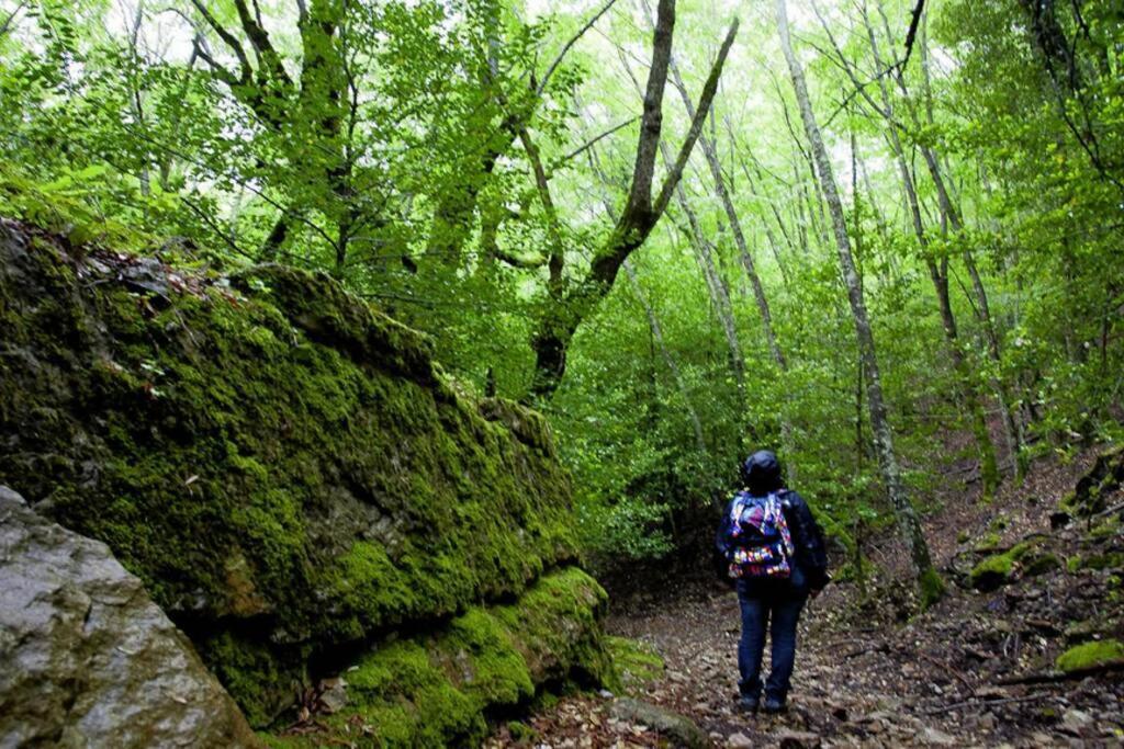 Ferula Romantica Mansarda Tra Fiumi E Montagne Sardegna Seùlo Extérieur photo