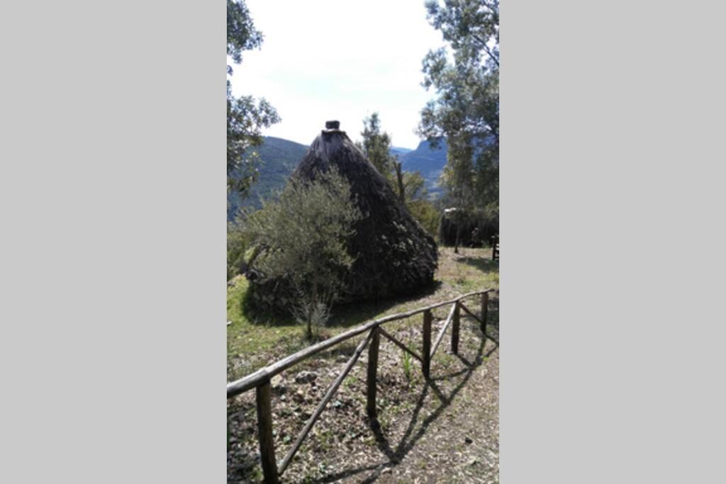Ferula Romantica Mansarda Tra Fiumi E Montagne Sardegna Seùlo Extérieur photo