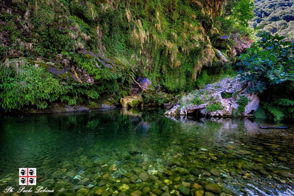 Ferula Romantica Mansarda Tra Fiumi E Montagne Sardegna Seùlo Extérieur photo